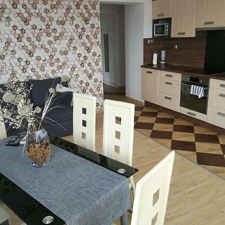 Tisza Parti Luxus Apartman Apartament Segedyn Zewnętrze zdjęcie