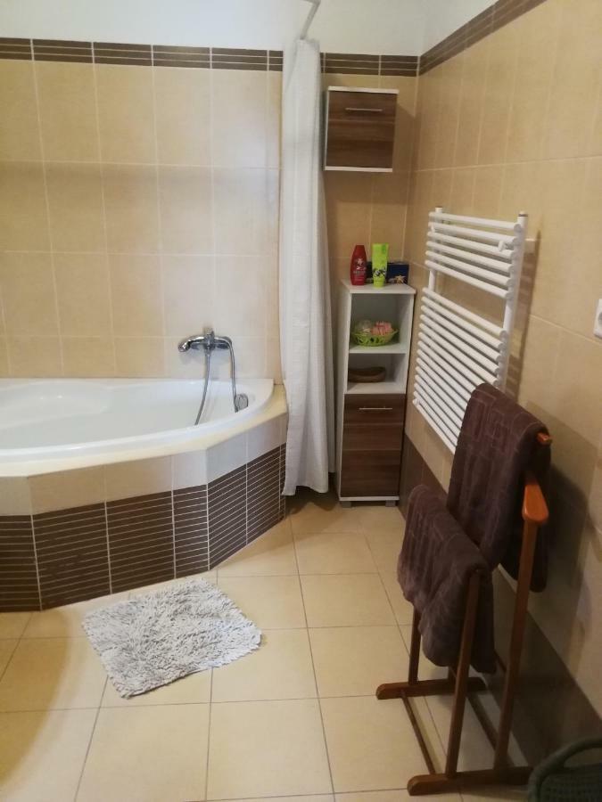 Tisza Parti Luxus Apartman Apartament Segedyn Zewnętrze zdjęcie